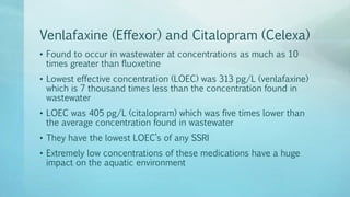 Venlafaxine (Effexor) and Citalopram (Celexa)
• Found to occur in wastewater at concentrations as much as 10
times greater than fluoxetine
• Lowest effective concentration (LOEC) was 313 pg/L (venlafaxine)
which is 7 thousand times less than the concentration found in
wastewater
• LOEC was 405 pg/L (citalopram) which was five times lower than
the average concentration found in wastewater
• They have the lowest LOEC’s of any SSRI
• Extremely low concentrations of these medications have a huge
impact on the aquatic environment
 