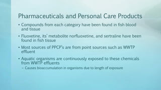 Pharmaceuticals and Personal Care Products
• Compounds from each category have been found in fish blood
and tissue
• Fluoxetine, its’ metabolite norfluoxetine, and sertraline have been
found in fish tissue
• Most sources of PPCP’s are from point sources such as WWTP
effluent
• Aquatic organisms are continuously exposed to these chemicals
from WWTP effluents
– Causes bioaccumulation in organisms due to length of exposure
 