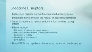 Endocrine Disruptors
• Endocrine’s regulate normal function of all organ systems
• Disruptors mimic or block the natural endogenous hormones
• Small disruptions to normal endocrine function has lasting
effects
• Effects include
– Disruption of natural hormonal balance
– Masculinization of females/Feminization of males
– Reduction of fertility
– Neurological impairments
– Birth defects
• Many PPCP’s and synthetic chemicals act as endocrine disruptors
 