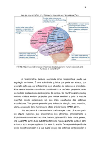 19
FIGURA 02 – REGIÕES DO CÉREBRO E SUAS RESPECTIVAS FUNÇÕES.
FONTE: http://www.midbrainpower.in/technical-details/supersonic-human-brain/parts-and-
functions-of-human-brain/
A noradrenalina, também conhecida como norepinefrina, auxilia na
regulação do humor. É uma substância química que pode ser ativada, por
exemplo, pelo café, por anfetaminas e em situações de estresses e ansiedade.
Este neurotransmissor é mais encontrado no lócus cerúleos, pequenos pares
de núcleos localizados na parte anterior do cérebro. Os neurônios pigmentados
desses núcleos enviam projeções para córtex cerebral e para a medula
espinhal, sendo considerado um dos mais espalhados dos sistemas
moduladores. Tem grande potencial para influenciar atenção, sono, memória,
alerta, ansiedade, dor e humor como citado anteriormente (HART, 2010).
Já a serotonina é uma substância produzida por nosso cérebro a partir
de alguns nutrientes que encontramos nos alimentos, principalmente o
triptofano encontrado em chocolate, banana, grão-de-bico, leite, carne, peixes,
etc (ASBRAN, 2016). Esta substância tem uma relação profunda também com
o humor, sono e a percepção da dor, além do apetite. Outra grande importância
deste neurotransmissor é a sua dupla função nos sistemas cardiovascular e
 