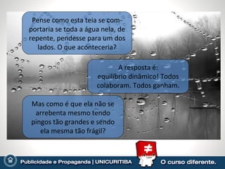 Pense como esta teia se com- portaria se toda a água nela, de repente, pendesse para um dos lados. O que aconteceria? Mas como é que ela não se arrebenta mesmo tendo pingos tão grandes e sendo ela mesma tão frágil? A resposta é: equilíbrio dinâmico! Todos colaboram. Todos ganham. 