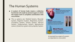 Ppda lecture 1 introduction to art and the human body | PPTX