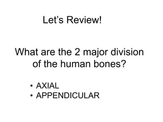 Let’s Review!
What are the 2 major division
of the human bones?
• AXIAL
• APPENDICULAR
 