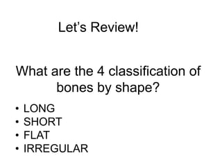 Let’s Review!
What are the 4 classification of
bones by shape?
• LONG
• SHORT
• FLAT
• IRREGULAR
 