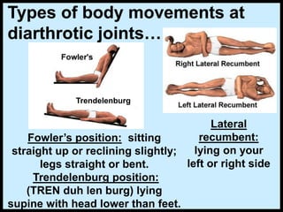Lateral
recumbent:
lying on your
left or right side
Fowler’s position: sitting
straight up or reclining slightly;
legs straight or bent.
Trendelenburg position:
(TREN duh len burg) lying
supine with head lower than feet.
Types of body movements at
diarthrotic joints…
Trendelenburg
 