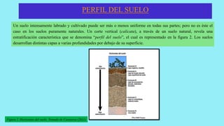 PERFIL DEL SUELO
Un suelo intensamente labrado y cultivado puede ser más o menos uniforme en todas sus partes; pero no es éste el
caso en los suelos puramente naturales. Un corte vertical (calicata), a través de un suelo natural, revela una
estratificación característica que se denomina “perfil del suelo”, el cual es representado en la figura 2. Los suelos
desarrollan distintas capas a varias profundidades por debajo de su superficie.
Figura 2. Horizontes del suelo. Tomado de Casanova (2011)
 