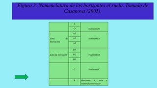Figura 3. Nomenclatura de los horizontes el suelo. Tomado de
Casanova (2005).
L
Horizonte OO
Zona de
Eluviación
A1
Horizonte AA2
A3
Zona de Iluviación
B1
Horizonte BB2
B3
C Horizonte C
R Horizonte R, roca o
material consolidado
 
