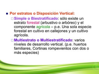  Por estratos o Disposición Vertical:
Simple o Biestratificado: sólo existe un
estrato forestal (arbustivo o arbóreo) y el
componente agrícola – p.e. Una sola especie
forestal en cultivo en callejones y un cultivo
agrícola.
Multiestrato o Multiestratificado: varios
niveles de desarrollo vertical. (p.e. huertos
familiares, Cortinas rompevientos con dos o
más especies)
 