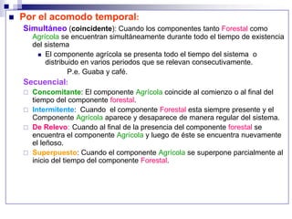  Por el acomodo temporal:
Simultáneo (coincidente): Cuando los componentes tanto Forestal como
Agrícola se encuentran simultáneamente durante todo el tiempo de existencia
del sistema
 El componente agrícola se presenta todo el tiempo del sistema o
distribuido en varios periodos que se relevan consecutivamente.
P.e. Guaba y café.
Secuencial:
 Concomitante: El componente Agrícola coincide al comienzo o al final del
tiempo del componente forestal.
 Intermitente: Cuando el componente Forestal esta siempre presente y el
Componente Agrícola aparece y desaparece de manera regular del sistema.
 De Relevo: Cuando al final de la presencia del componente forestal se
encuentra el componente Agrícola y luego de éste se encuentra nuevamente
el leñoso.
 Superpuesto: Cuando el componente Agrícola se superpone parcialmente al
inicio del tiempo del componente Forestal.
 