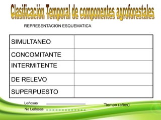 SIMULTANEO
CONCOMITANTE
INTERMITENTE
DE RELEVO
SUPERPUESTO
REPRESENTACION ESQUEMATICA
Tiempo (años)Leñosas
No Leñosas
 