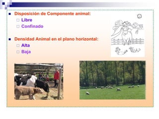 Disposición de Componente animal:
 Libre
 Confinado
 Densidad Animal en el plano horizontal:
 Alta
 Baja
 
