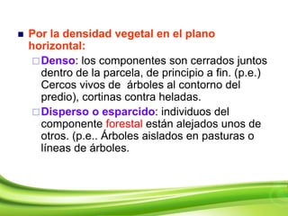  Por la densidad vegetal en el plano
horizontal:
Denso: los componentes son cerrados juntos
dentro de la parcela, de principio a fin. (p.e.)
Cercos vivos de árboles al contorno del
predio), cortinas contra heladas.
Disperso o esparcido: individuos del
componente forestal están alejados unos de
otros. (p.e.. Árboles aislados en pasturas o
líneas de árboles.
 