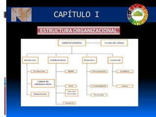 CAPÍTULO I
ESTRUCTURA ORGANIZACIONAL
 