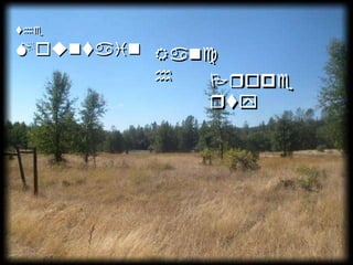 Photo Montage 6theMountainRanchProperty