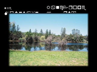 Photo Montage 6theMountainRanchProperty