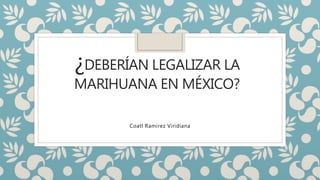 ¿DEBERÍAN LEGALIZAR LA
MARIHUANA EN MÉXICO?
Coatl Ramirez Viridiana
 