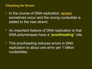 Incorrect Dna Replication DNA replication and Amino Acid Replication | PPT
