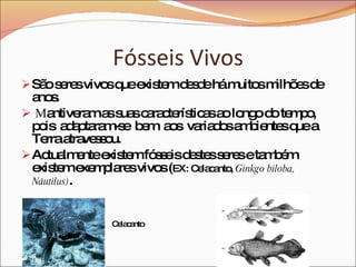 Fósseis Vivos São seres vivos que existem desde há muitos milhões de anos. M antiveram as suas características ao longo do tempo,  pois  adaptaram-se  bem  aos  variados ambientes que a Terra atravessou. Actualmente existem fósseis destes seres e também existem exemplares vivos ( EX: Celacanto,  Ginkgo biloba, Náutilus) . Celacanto 