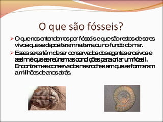 O que são fósseis? O que nos entendemos por fósseis e que são restos de seres vivos que se depositaram na terra ou no fundo do mar. Esses seres têm de ser conservados dos agentes erosivos e assim é que se reúnem as condições para criar um fóssil. Encontram-se conservados nas rochas em que se formaram a milhões de anos atrás. 
