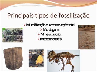 Principais tipos de fossilização Mumificação ou conservação total Moldagem Mineralização Marcas fósseis 