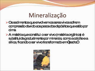Mineralização Os sedimentos que envolvem os seres vivos sofrem compressão devido aos pesos dos depósitos que estão por cima. A matéria que constitui o ser vivo (matéria orgânica) é substituída gradualmente por minerais, como a calcite e a sílica, ficando o ser vivo transformado em “pedra”. 