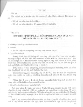 PHƯƠNG PHÁP ĐIỀU TRA DỊCH HẠI TRÊN CÂY RAU