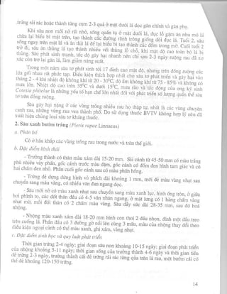 PHƯƠNG PHÁP ĐIỀU TRA DỊCH HẠI TRÊN CÂY RAU