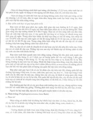 PHƯƠNG PHÁP ĐIỀU TRA DỊCH HẠI TRÊN CÂY RAU