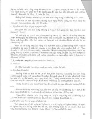 PHƯƠNG PHÁP ĐIỀU TRA DỊCH HẠI TRÊN CÂY RAU