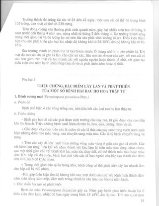 PHƯƠNG PHÁP ĐIỀU TRA DỊCH HẠI TRÊN CÂY RAU