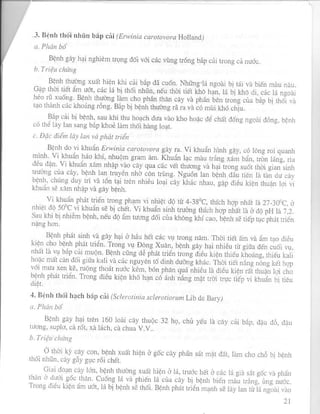 PHƯƠNG PHÁP ĐIỀU TRA DỊCH HẠI TRÊN CÂY RAU