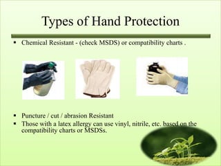 Types of Hand Protection
 Chemical Resistant - (check MSDS) or compatibility charts .




 Puncture / cut / abrasion Resistant
 Those with a latex allergy can use vinyl, nitrile, etc. based on the
  compatibility charts or MSDSs.
 
