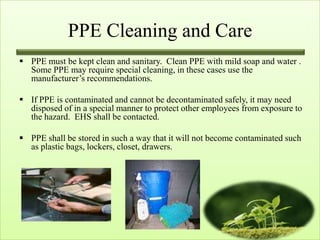 PPE Cleaning and Care
 PPE must be kept clean and sanitary. Clean PPE with mild soap and water .
  Some PPE may require special cleaning, in these cases use the
  manufacturer’s recommendations.

 If PPE is contaminated and cannot be decontaminated safely, it may need
  disposed of in a special manner to protect other employees from exposure to
  the hazard. EHS shall be contacted.

 PPE shall be stored in such a way that it will not become contaminated such
  as plastic bags, lockers, closet, drawers.
 