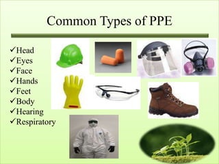 Common Types of PPE

Head
Eyes
Face
Hands
Feet
Body
Hearing
Respiratory
 