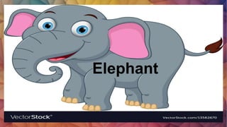 Elephant
 