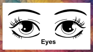 Eyes