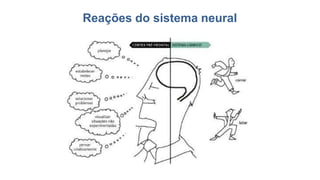 Reações do sistema neural
 
