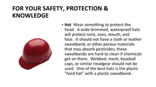 FOR YOUR SAFETY, PROTECTION &
KNOWLEDGE
• Hat Wear something to protect the
head. A wide-brimmed, waterproof hats
will protect neck, eyes, mouth, and
face. It should not have a cloth or leather
sweatband, or other porous materials
that may absorb pesticides; these
sweatbands are hard to clean if chemicals
get on them. Webbed, mesh, baseball
caps, or similar headgear should not be
used. One of the best hats is the plastic
"hard hat" with a plastic sweatband.
 