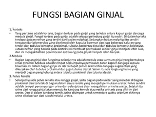 FUNGSI BAGIAN GINJAL
1. Korteks
• Yang pertama adalah korteks, bagian terluar pada ginjal yang terletak antara kapsul ginjal dan juga
medula ginjal. Fungsi korteks pada ginjal adalah sebagai pelindung ginjal itu sediri. Di dalam korteks
terdapat jutaan nefron yang terdiri dari badan malphigi. Sedangkan badan malphigi itu sendiri
tersusun dari glomerulus yang diselimuti oleh kapsula Bowman dan juga beberapa saluran yang
terdiri dari tubulus kontortus proksimal, tubulus kontortus distal dan tubulus kontortus kolektivus.
Jutaan nefron yang berada pada korteks ini membuat permukaan kapiler ginjal menjadi lebih luas,
dan ini mengakibatkan perembesan zat buang pada ginjal menjadi lebih banyak.
2.Medula
• Bagian bagian ginjal dan fungsinya selanjutnya adalah medula atau sumsum ginjal yang bentuknya
renal pyramid. Medula adalah tempat berkumpulnya pembuluh darah kapiler dan juga kapsula
bowman. Di dalam bagian ginjal ini lah terdapat proses reabsorbsi dan juga augmentasi yang
dikerjakan oleh tubulus proksimal dan juga tubulus destal. Selain itu ada lengkung henle yang
menjadi bagian penghubung antara tubulus proksimal dan tubulus destal.
3. Pelvis Renalis
• Selanjutnya ada pelvis renalis atau rongga ginjal, yaitu bagian pada ureter yang melebar di bagian
proksimal dan terletak di bagian dalam sinus renalis yang menjadi permukaan ureter. Pelvis sendiri
adalah tempat penampungan urine dan selanjutnya akan mengalirkan urine ke ureter. Setelah itu
urine dari rongga ginjal akan menuju ke kandung kemuh atau vesika urinaria yang dikirim dari
ureter. Dan di dalam kandung kemih, urine disimpan untuk sementara waktu sebelum akhirnya
urine dikeluarkan dari tubuh melalui uretra.
 