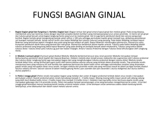 FUNGSI BAGIAN GINJAL
• Bagian bagian ginjal dan fungsinya 1. Korteks ( bagian luar ) Bagian terluar dari ginjal antara kapsul ginjal dan medula ginjal. Pada orang dewasa,
membentuk zona luar kontinyu mulus dengan sejumlah proyeksi (kolom kortikal ) yang memperpanjang turun antara piramida . Ini berisi sel-sel ginjal
dan tubulus ginjal kecuali untuk bagian lengkung henle yang turun ke medula ginjal. Hal ini juga berisi pembuluh darah dan saluran pengumpil
kortikal. Bagian korteks ginjal mengandung banyak sekali nefron ± 100 juta sehingga permukaan kapiler ginjal menjadi luas, akibatnya perembesan
zat buangan menjadi banyak. Setiap nefron terdiri atas badan Malphigi dan tubulus (saluran) yang panjang. Pada badan Malphigi terdapat kapsul
Bowman yang bentuknya seperti mangkuk atau piala yang berupa selaput sel pipih. Kapsul Bowman membungkus glomerulus. Glomerulus yaitu
Kumpulan pembuluh darah halus yang berasal dari nadi ginjal. Glomerulus berbentuk jalinan kapiler arterial. Tubulus pada badan Malphigi adalah
tubulus proksimal yang bergulung dekat kapsul Bowman yang pada dinding sel terdapat banyak sekali mitokondria. Tubulus yang kedua adalah
tubulus distal. Tubulus distal yaitu tubulus yg jauh dari badan malpighi. Antara Tubulus Proksimal dengan Tubulus Distal dihubungkan oleh Lengkung
Henle.
•
• 2. Medula ( sumsum ginjal ) Sumsum ginjal disebut Medulla. Medulla berbentuk kerucut atau renal pyramid. Medulla merupakan tempat
berkumpulnya pembuluh darah kapiler dari kapsula Bowman. Didalam medulla akan terjadi proses reabsorbsi dan augmentasi oleh tubulus proksimal
dan tubulus distal. Lengkung henle juga merupakan bagian dari yang menghubungkan tubulus proksimal dengan tubulus distal. Medula renalis
terletak dekat hilus, sering terlihat garis-garis putih oleh karena adanya saluran-saluran yang terletak dalam piramida renalis. Tiap piramida renalis
mempunyai basis yang menjurus ke arah korteks dan apeksnya bermuara ke dalam kaliks minor sehingga menimbulkan tonjolan yang dinamakan
papila renalis yang merupakan dasar sinus renalis. Jaringan medula dari piramida renalis ada yang menonjol masuk ke dalam jaringan korteks disebut
fascilus radiatus ferreini. Saluran-saluran di dalam medula gelung Henle ( pars asenden dan pars desenden ) ductus koligentes dan ductus bellini (
ductus papilaris ).
•
• 3. Pelvis ( rongga ginjal ) Pelvis renalis merupakan bagian yang melebar dari ureter di bagian proksimal terletak dalam sinus renalis ( merupakan
permukaan ureter). Kearah proksimal pelvis renalis bercabang menjadi 2 – 3 kaliks mayor. Masing-masing kaliks mayor pecah jadi cabang-cabang
yang lebih kecil disebut kaliks minor ( 1 kaliks mayor bisa menjadi 2-6 kaliks minor ). Kedalam tiap-tiap kaliks minor bermuara papila renalis yang
merupakan gabungan dari 3-4 piramida renalis. Pelvis merupakan tempat penampungan urine yang kemudian mengalirkannya ke ureter. Urine dari
rongga ginjal kemudian menuju kandung kemih (vesika urinaria) melalui ureter. Urine disimpan untuk sementara waktu dalam kandung kemih.
Selanjutnya, urine dikeluarkan dari dalam tubuh melalui saluran uretra.
 