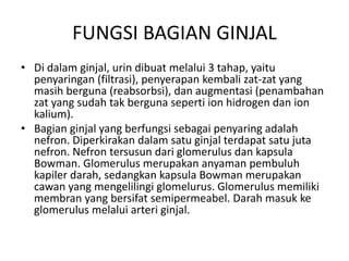 FUNGSI BAGIAN GINJAL
• Di dalam ginjal, urin dibuat melalui 3 tahap, yaitu
penyaringan (filtrasi), penyerapan kembali zat-zat yang
masih berguna (reabsorbsi), dan augmentasi (penambahan
zat yang sudah tak berguna seperti ion hidrogen dan ion
kalium).
• Bagian ginjal yang berfungsi sebagai penyaring adalah
nefron. Diperkirakan dalam satu ginjal terdapat satu juta
nefron. Nefron tersusun dari glomerulus dan kapsula
Bowman. Glomerulus merupakan anyaman pembuluh
kapiler darah, sedangkan kapsula Bowman merupakan
cawan yang mengelilingi glomelurus. Glomerulus memiliki
membran yang bersifat semipermeabel. Darah masuk ke
glomerulus melalui arteri ginjal.
 