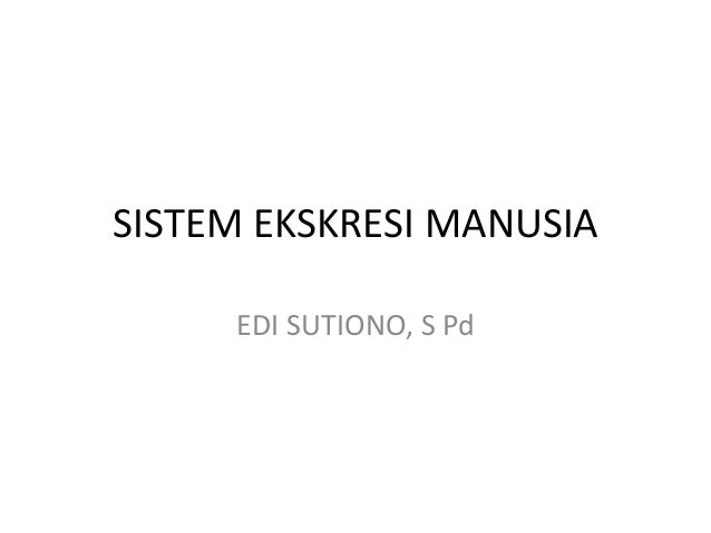 Power Point Sistem Ekskresi Manusia