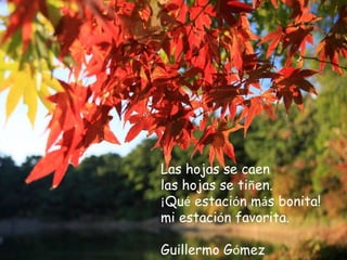 Las hojas se caen
las hojas se tiñen.
¡Qué estación más bonita!
mi estación favorita.
Guillermo Gómez
 
