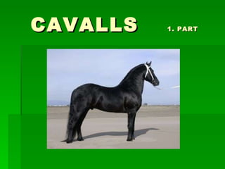 CAVALLS   1. PART 
