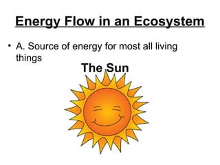 PP Energy Flow and Trophic Levels3 ppt hw | PPT