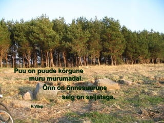 Puu on puude kõrgune muru murumadal. Õnn on õnnesuurune selg on seljataga.   H.Vilep 