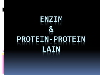 ENZIM
&
PROTEIN-PROTEIN
LAIN
 