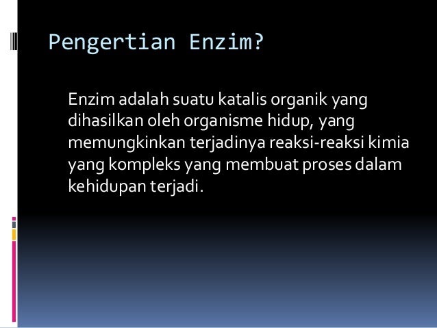 Pp Enzim Dan Protein Lain Pp Enzim Dan Protein Lain