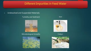 Different Impurities in Feed Water
1. Undissolved and Suspended Materials:
Iron
Microbiological Growths Colour
Turbidity and Sediment
 