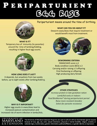 P E R I P A R T U R I E N T
Egg RisE
WHAT IS IT?
Temporary loss of immunity (to parasites)
around the time of lambing/kidding,
resulting in higher fecal egg counts.
WHY IS IT IMPORTANT?
Higher egg counts in ewes/does lead to
increased pasture contamination and
increased risk of worm infection in lambs/kids.
WHAT CAN YOU DO ABOUT IT?
Deworm ewes/does that require treatment or
would benefit most from treatment.
HOW LONG DOES IT LAST?
It depends, but anywhere from two weeks
before, up to eight weeks after lambing/kidding.
DEWORMING CRITERIA
FAMACHA© score ≥ 4
Body condition score (BCS) ≤ 2
Carrying and/or raising ≥ 3 offspring
First freshening or offspring
High producing dairy female
OTHER STRATEGIES
Increase protein in late gestation ration
Lamb/kid early or indoors
Feed BioWorma® during periparturient period
Raise more resistant breed(s)
Select for parasite resistance
Periparturient means around the time of birthing.
 